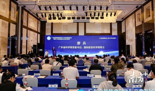 院士組團南下三亞，新材料技術推廣助力產業升級