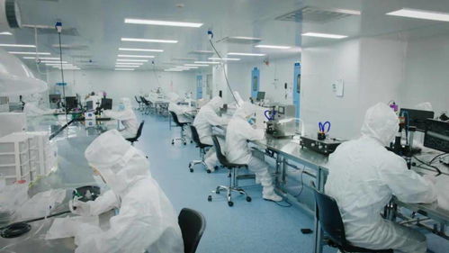 北芯生命遞交招股書 擬募資12.74億元，加速新材料技術(shù)研發(fā)與產(chǎn)業(yè)化進(jìn)程