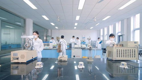 山東高速建材集團(tuán)路用新材料公司以科技創(chuàng)新驅(qū)動發(fā)展，深耕新材料技術(shù)研發(fā)